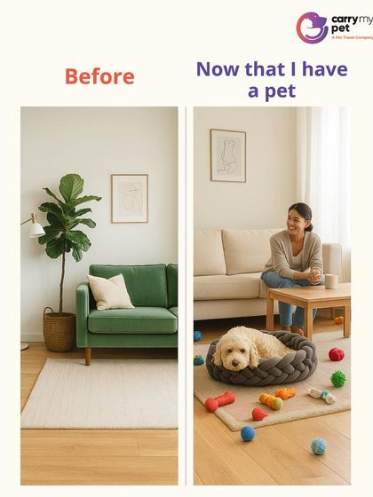 CarryMyPet - Pet Travel & Parenting Consultation The Heart of a Pet Parent photo 26