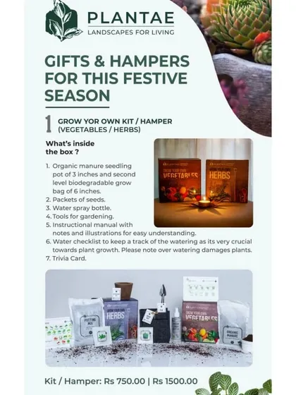 Our 'Grow Your Own' kits for vegetables and herbs are a perfect gift for the festive season. Each kit includes everything you need, from organic manure and seeds to tools and an instruction manual.