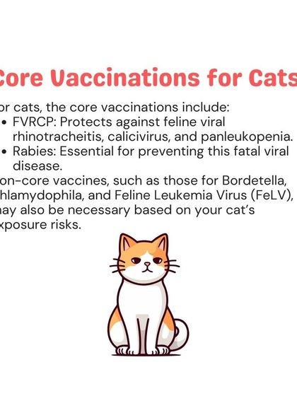 Woofly - Home Veterinary Services At-Home Vaccinations & Deworming photo 14