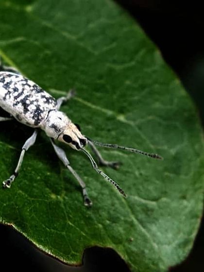 Bangalore Photographers - Find a Photographer Wildlife & Nature Photography photo 8