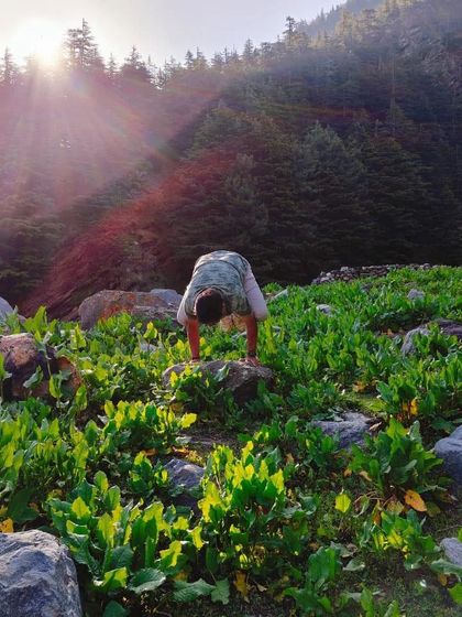 Chaitanya Wellness - Yoga Teacher Training (YTT) Our Vibrant Community photo 26