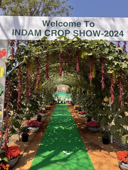 The entrance to our 2024 Crop Show, where we showcased over 100 varieties of vegetables grown on just one acre. It's a testament to our passion for agriculture.
