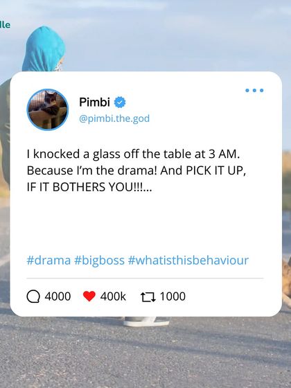 Kuddle - Pet Behaviour & Training It's a Dog's Life (And We're Just Living In It) photo 34