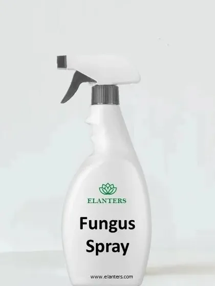 Our ready-to-use Fungus Spray helps protect your plants from common fungal diseases. It's a must-have for any plant parent to tackle issues before they spread.