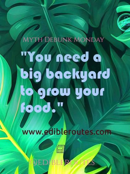 Let's bust this myth for good. A big backyard is not a requirement for a bountiful garden. All you need is a sunny spot and the desire to grow.