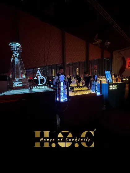 The afterparty starts here. This sleek, modern bar setup with custom LED lighting and a tequila ice luge is designed to keep the energy going late into the night.