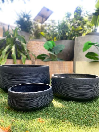 A set of three low, wide bowl planters in a black textured finish, perfect for creating a modern succulent or bonsai garden.