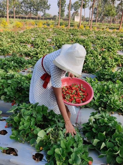 Gauravi Vinay - Personalized Clinical Nutrition Coaching My Life in Food photo 30