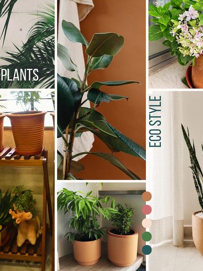 Sustainable Practices & Materials photo 20