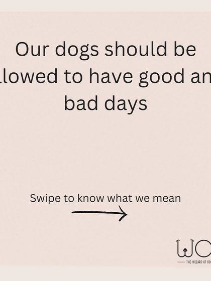 We should allow our dogs to have good days and bad days, just like we do. Expecting perfect behavior all the time is unrealistic and unfair.