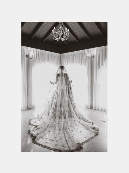 Picsurely - Wedding Photography & Cinematography Radiant Bridal Portraits photo 63