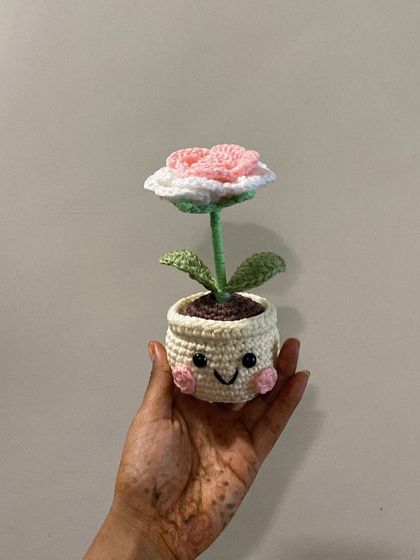 Quirky & Smiley Pots photo 4