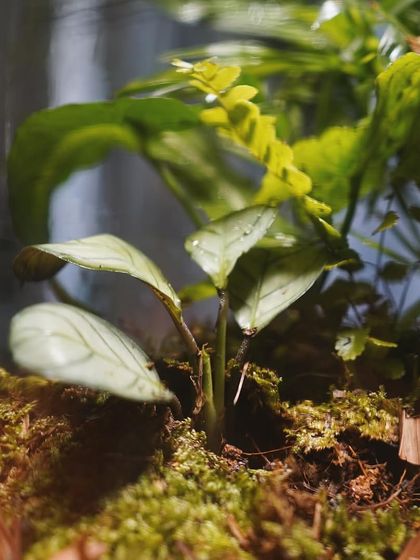 Creative Vessels: Teapots, Jars & More photo 28