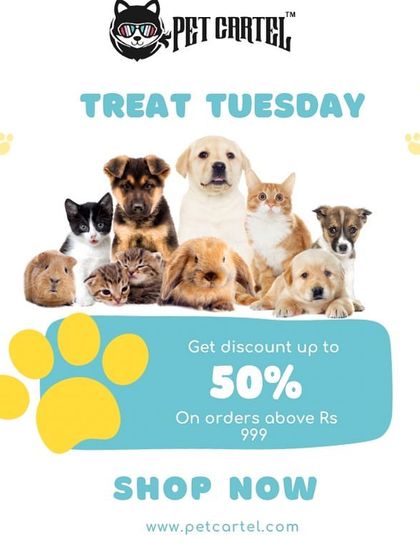 Pet Cartel - Pet Supplies & Food Delivery Our Shop & Services photo 7