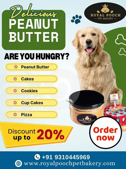 From delicious peanut butter to custom cakes and cookies, I have a treat for every hungry pet. Check out my menu for all the tasty options.