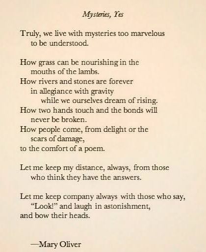 A poem by Mary Oliver, whose work deeply resonates with our philosophy of finding wonder in the world and staying curious.