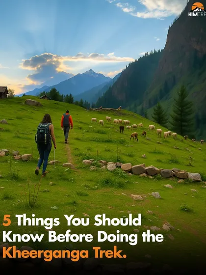 This is what the Kheerganga trek is all about. Green meadows, grazing sheep, and a trail that takes you deep into the Parvati Valley.