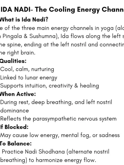 Rohit N - Yoga Teacher Training The Science of Yoga & Ayurveda photo 9