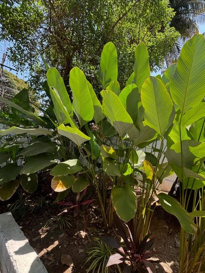 Greening Commercial Spaces photo 55