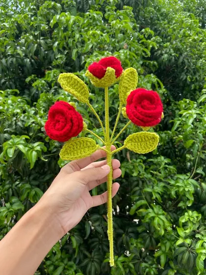 A single multi-head rose stem, showing the unique three-bloom design.