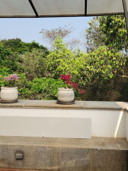 A view of the flowering plants in decorative pots placed along the ledge of a terrace. This setup takes advantage of direct sunlight to keep the bougainvillea blooming, adding a splash of color to the home's exterior.