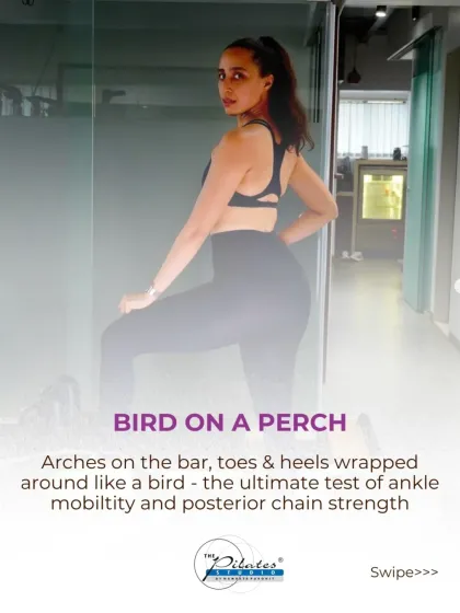 The "Bird on a Perch" position is an advanced footwork variation. It's the ultimate test of ankle mobility and posterior chain strength, requiring your arches, toes, and heels to wrap around the bar.