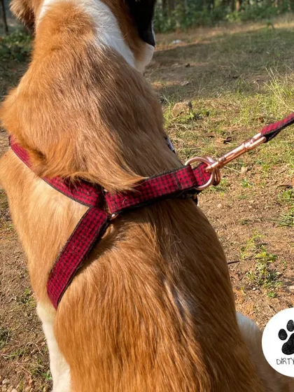 A back view of the Red Wool Check Harness, showing the rose gold D-ring. This hardware is not only stylish but also durable and secure for leash attachment.