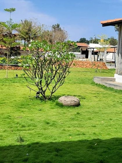 Multiplex Urban Green - Landscape & Garden Services Lush Lawns & Landscape Design photo 4