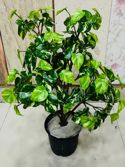 A bushy and full artificial money plant (Pothos) with realistic leaf patterns, perfect for filling floor planters.