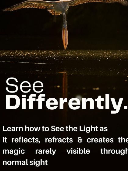 The "Sense the Light" Workshop Experience photo 3