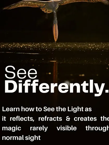 We learn to see differently, to understand how light reflects and refracts to create magic that is rarely visible to the normal eye. This image of a pelican and its reflection embodies this principle of looking deeper.