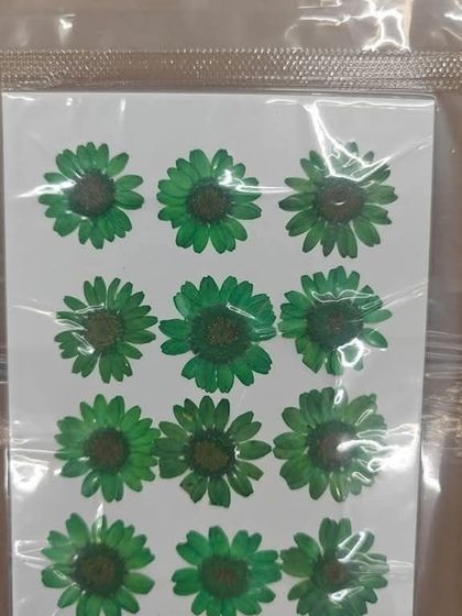 A sheet of vibrant green pressed flowers. These are wonderful for adding a touch of nature to your handmade cards, bookmarks, or resin creations.