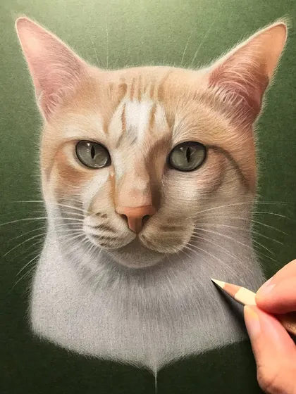 Here is a finished color pencil portrait of a handsome cat named Simba. I spent hours layering colors to achieve this level of realism, focusing on the soft texture of his fur and the beautiful clarity of his eyes against a simple green background.