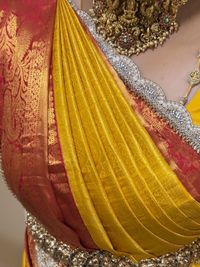 Professional Saree Draping