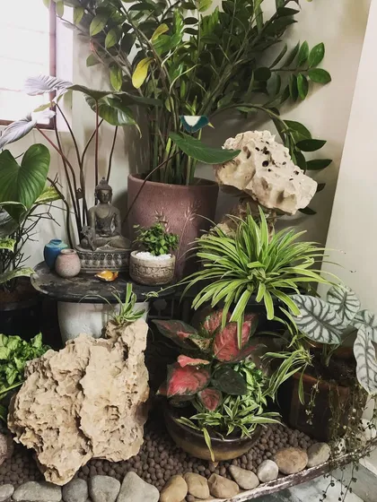A detailed look at the lower level of the lobby arrangement, showing how colorful caladiums and other small plants are nestled among natural rocks. This technique creates a finished, ground-cover effect that feels like a real garden bed.