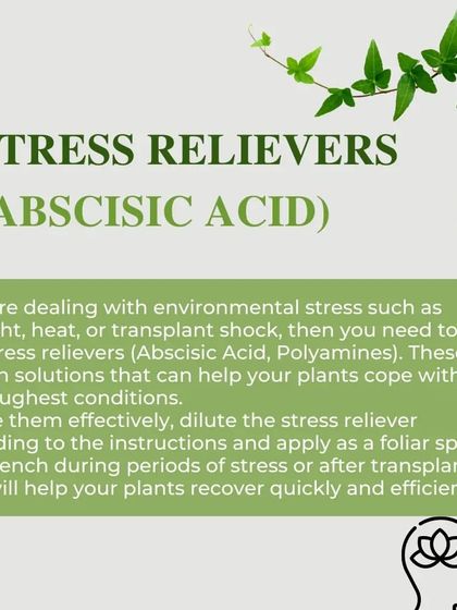 For plants under environmental stress from drought, heat, or transplant shock, we use stress relievers like Abscisic Acid. These solutions help plants recover quickly and cope with tough conditions.