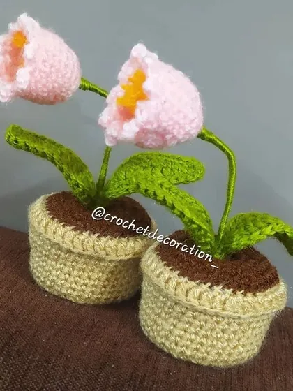A pair of beautiful light pink lily of the valley flower pots, a dispatched order.
