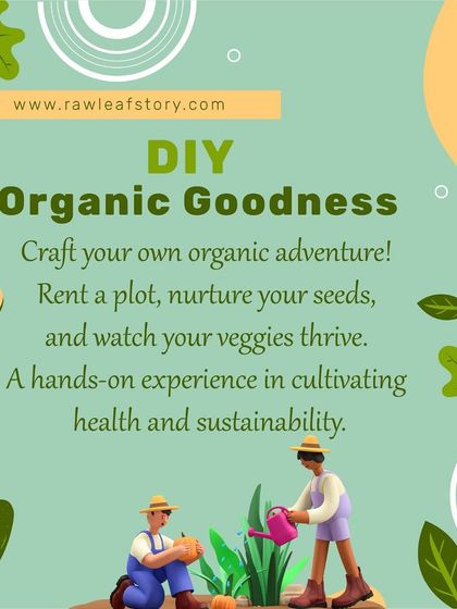 Our DIY organic goodness option is a hands-on adventure in sustainable living. We provide everything you need to get started, so you can experience the joy of nurturing seeds and watching your own vegetables thrive.