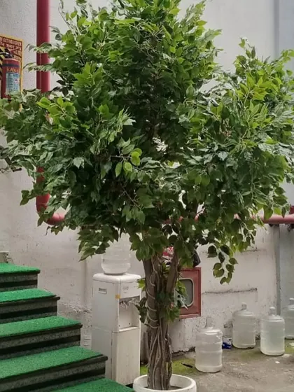 This tall, lush artificial ficus tree is perfect for adding height and a touch of nature to indoor spaces with high ceilings, like this stairwell landing.