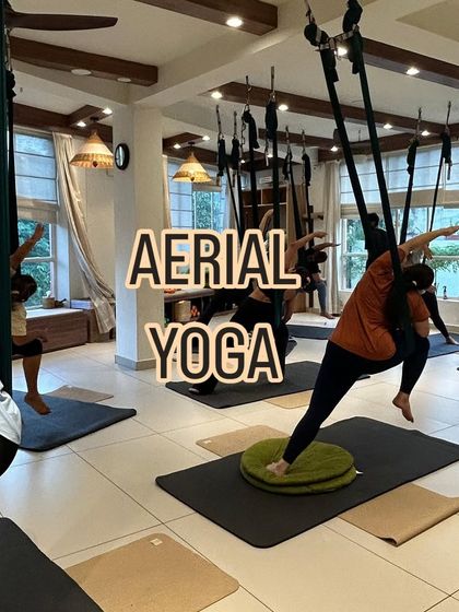 The studio is filled with students exploring different movements in their aerial hammocks, creating a dynamic and inspiring atmosphere.