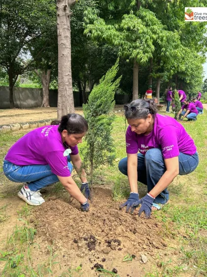 These images showcase individual employees from EXL, Marsh, Amdocs, Telus, HCL, and Northern Trust deeply engaged in the act of planting. Each photo captures a personal moment of connection with nature, showing the focus and care that our corporate volunteers bring to these drives.