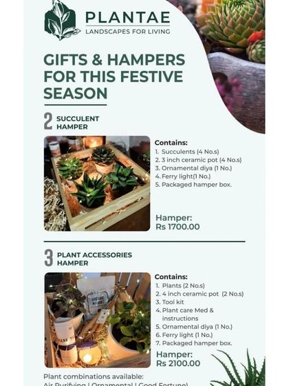 Grow Your Own Kits & Green Gifts photo 5