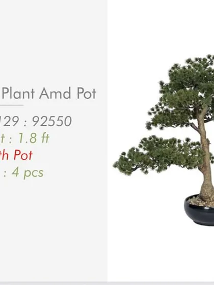 A catalogue image of our 1.8 ft artificial Pine Bonsai, showing its balanced shape and details for our wholesale clients.