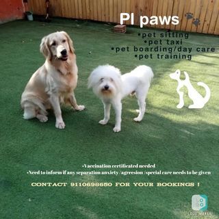 PL Paws