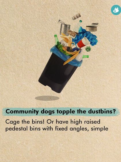 The Pack - Pet Parent Education & Workshops Awaara Nahi, Humara Hai: Community Dog Advocacy photo 31