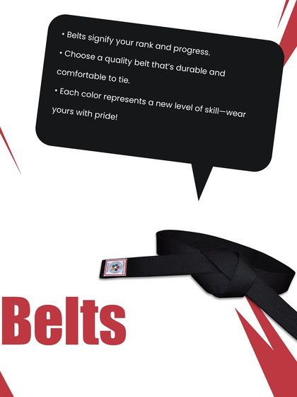 The Karate Journey: From Basics to Black Belt photo 29