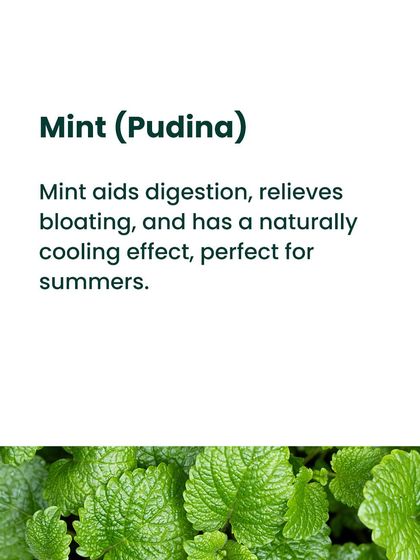Mint, or pudina, is a classic remedy for indigestion. It aids digestion, relieves bloating, and has a naturally cooling effect, which is why we love using it in our summer drinks and dishes.