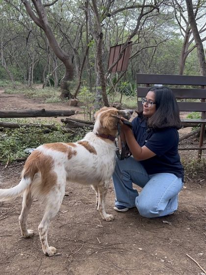 Another beautiful moment of connection in the park. Here, I'm kneeling down to the dog's level, communicating with calm energy and gentle touch. This builds the trust that makes a dog feel safe and ready to learn.