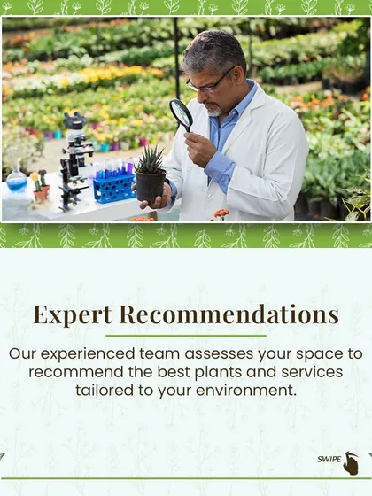 Our experienced team assesses your space, light conditions, and needs to provide expert recommendations for the best plants and services tailored to your environment.
