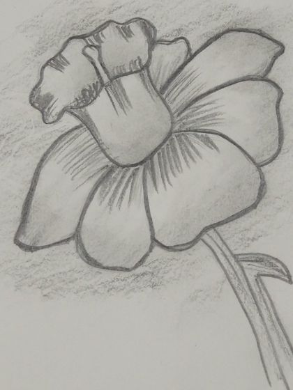 A lovely flower sketch done by a student during one of our online classes.
